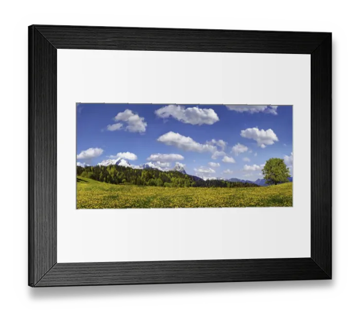 Framed Print : Flowering mountain pasture underneath blue sky with white clouds, Zugspitze massif near Partenkirchen, Partenkirchen-Eckbauer, Bavaria, Germany, Europe Framed Print : Flowering mountain pasture underneath blue sky with white clouds, Zugspitze massif near Partenkirchen, Partenkirchen-Eckbauer, Bavaria, Germany, Europe