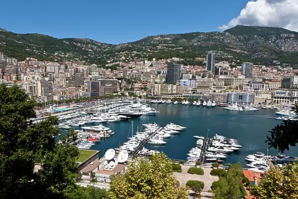 Overlooking the harbour of Monaco, Port Hercule, Monte Carlo, Principality of Monaco, Cote dAzur, Mediterranean Sea, Europe, PublicGround