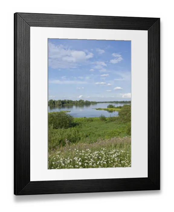 Framed Print : Elbe River near Hitzacker, Elbhoehen-Wendland Nature Park, Lower Saxony, Germany, Europe Framed Print : Elbe River near Hitzacker, Elbhoehen-Wendland Nature Park, Lower Saxony, Germany, Europe