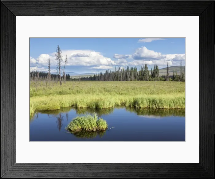 Framed Print : Countryside at the Taylor Highway, near the Chicken settlement, Alaska, United States Framed Print : Countryside at the Taylor Highway, near the Chicken settlement, Alaska, United States
