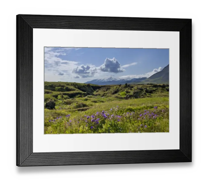 Framed Print : Snaefellsjoekull volcano, Buoir or Faskruosfjoerour, Snaefellsnes, Snaefellsness, Iceland, Europe Framed Print : Snaefellsjoekull volcano, Buoir or Faskruosfjoerour, Snaefellsnes, Snaefellsness, Iceland, Europe