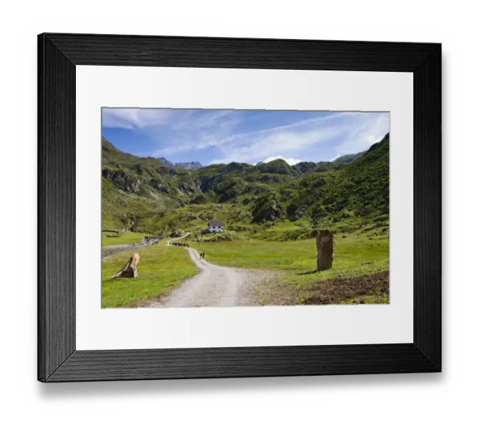 Framed Print : Timmelsalm alpine pasture, during the ascent to Mueller Hut via the Passeiertal Valley of the Timmelsjoch Pass Road, Alto Adige, Italy, Europe Framed Print : Timmelsalm alpine pasture, during the ascent to Mueller Hut via the Passeiertal Valley of the Timmelsjoch Pass Road, Alto Adige, Italy, Europe