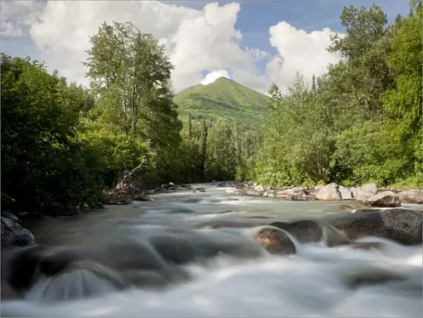 Mountain stream in the Talkeetna Mountains, Alaska, USA, North America