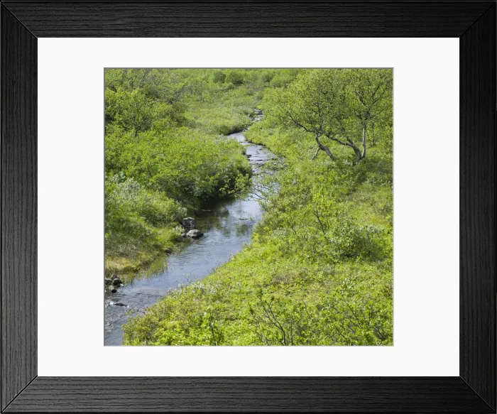 Framed Print : Stream and lush vegetation, Joekulsargljufur National Park, Iceland, Europe Framed Print : Stream and lush vegetation, Joekulsargljufur National Park, Iceland, Europe