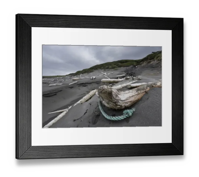 Framed Print : Driftwood on the beach, hike on the Fuglabjagarnes peninsula, northeastern coast, Vopnafjoerour, Iceland, Europe Framed Print : Driftwood on the beach, hike on the Fuglabjagarnes peninsula, northeastern coast, Vopnafjoerour, Iceland, Europe