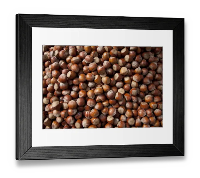 Framed Print : Hazel nuts, background Framed Print : Hazel nuts, background