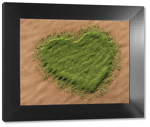 3d-visualisation of a heart-shaped grass area on a sandy surface