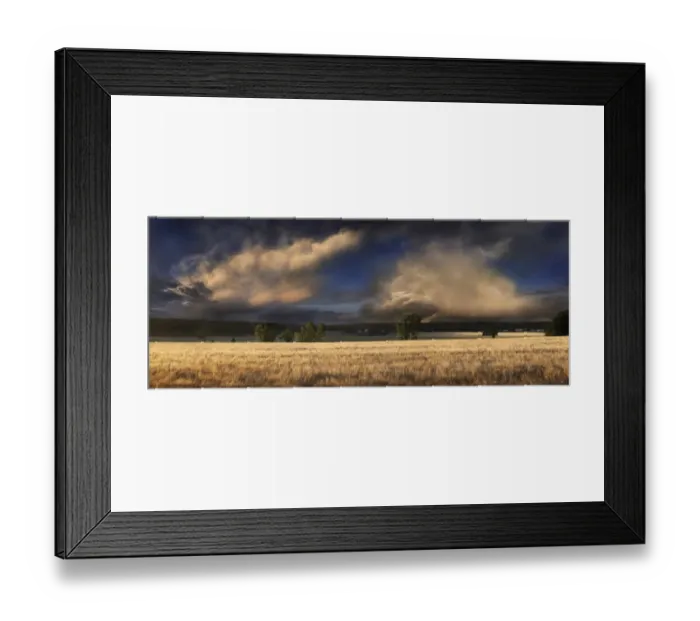 Framed Print : Barley field in the evening light, near Adelschlag, Bavaria, Germany, Europe Framed Print : Barley field in the evening light, near Adelschlag, Bavaria, Germany, Europe