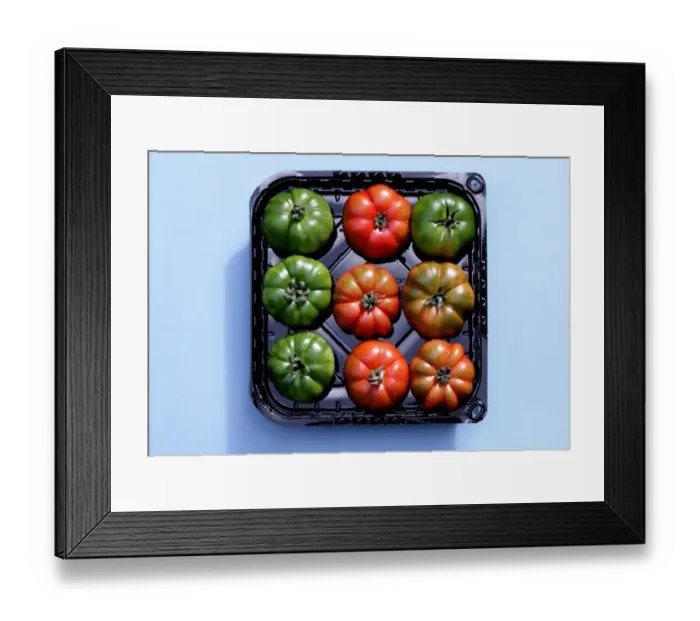 Framed Print : Red and green tomatoes in a black plastic tray Framed Print : Red and green tomatoes in a black plastic tray