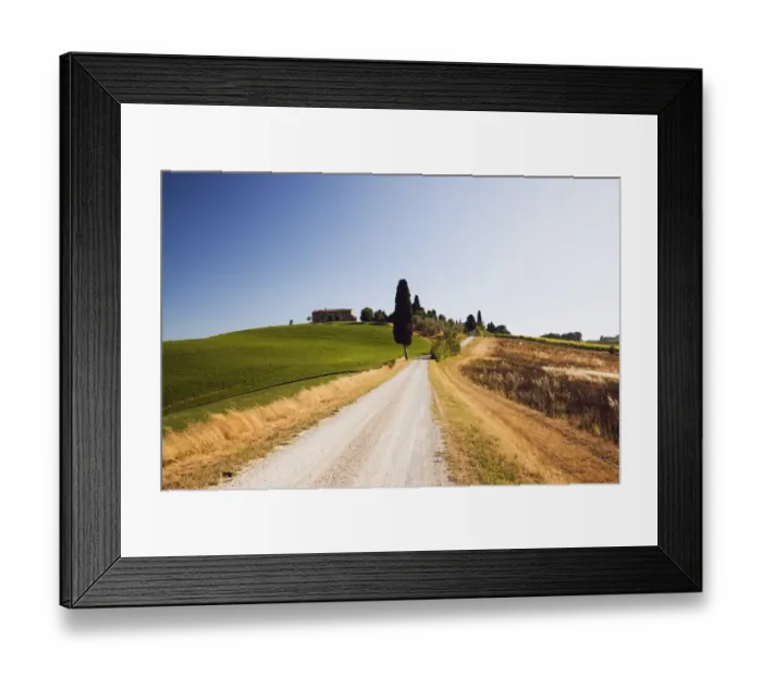 Framed Print : Typical Tuscan landscape with a cypress -Cupressus-, near Ville de Corsano, Tuscany, Italy, Europe Framed Print : Typical Tuscan landscape with a cypress -Cupressus-, near Ville de Corsano, Tuscany, Italy, Europe