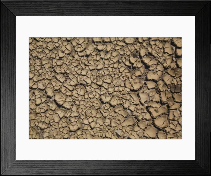 Framed Print : Dried and cracked mud, Quebec, Canada Framed Print : Dried and cracked mud, Quebec, Canada