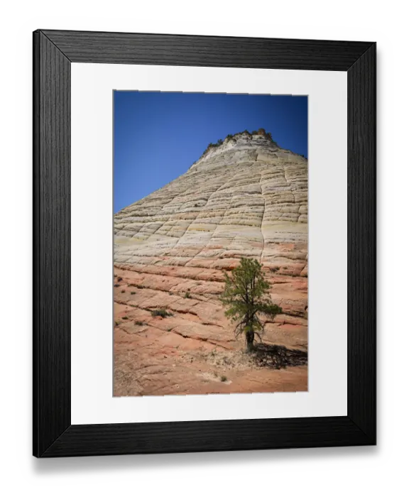 Framed Print : Checkerboard Mesa, Zion National Park, Utah, USA Framed Print : Checkerboard Mesa, Zion National Park, Utah, USA