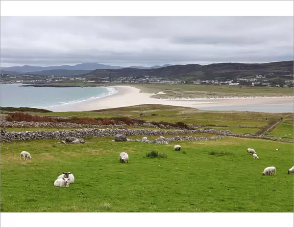 View from Horn Head over Dunfanaghy, County Donegal, Ireland, Europe