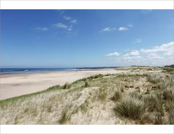 Castlerock Beach, County Derry, Northern Ireland, Great Britain, Europe