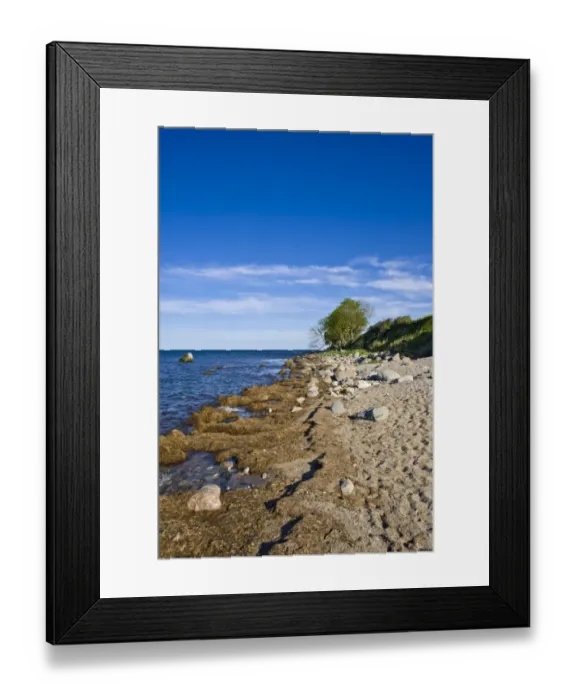 Framed Print : On the coastal cliffs of Staberhuk, Fehmarn Island, Baltic Sea, Schleswig-Holstein, Germany, Europe Framed Print : On the coastal cliffs of Staberhuk, Fehmarn Island, Baltic Sea, Schleswig-Holstein, Germany, Europe