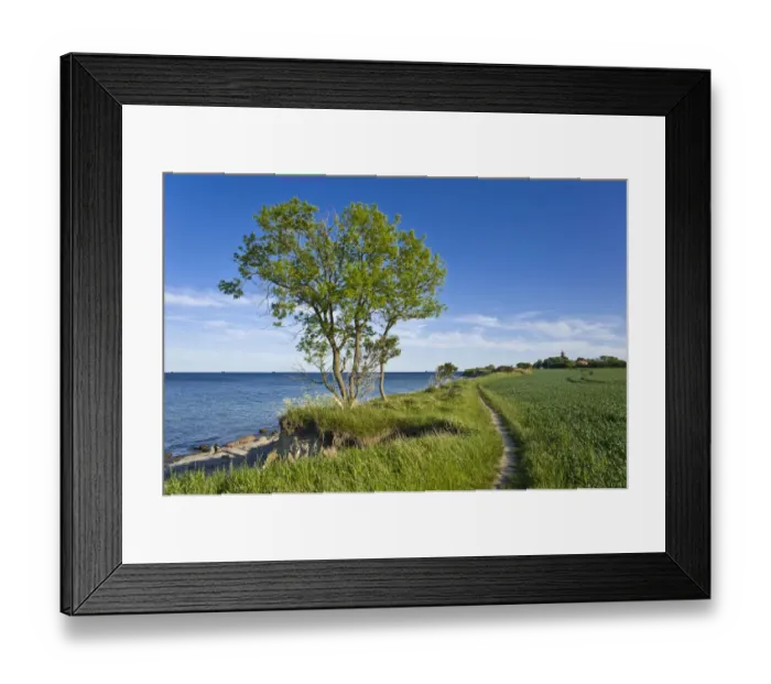Framed Print : On the coastal cliffs of Staberhuk, Fehmarn Island, Baltic Sea, Schleswig-Holstein, Germany, Europe Framed Print : On the coastal cliffs of Staberhuk, Fehmarn Island, Baltic Sea, Schleswig-Holstein, Germany, Europe