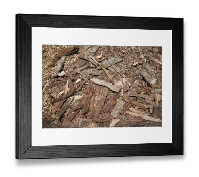 Framed Print : Pile of cut cedar tree bark for recycling, Quebec, Canada Framed Print : Pile of cut cedar tree bark for recycling, Quebec, Canada
