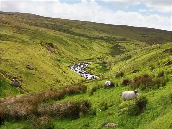 Glendun valley near Cushendun, Glens of Antrim, County Antrim, Northern Ireland, United Kingdom, Europe
