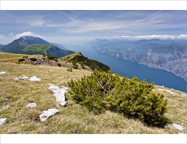 On Monte Altissimo above Nago, overlooking Lake Garda, with Monte Baldo at the rear, Trentino, Italy, Europe