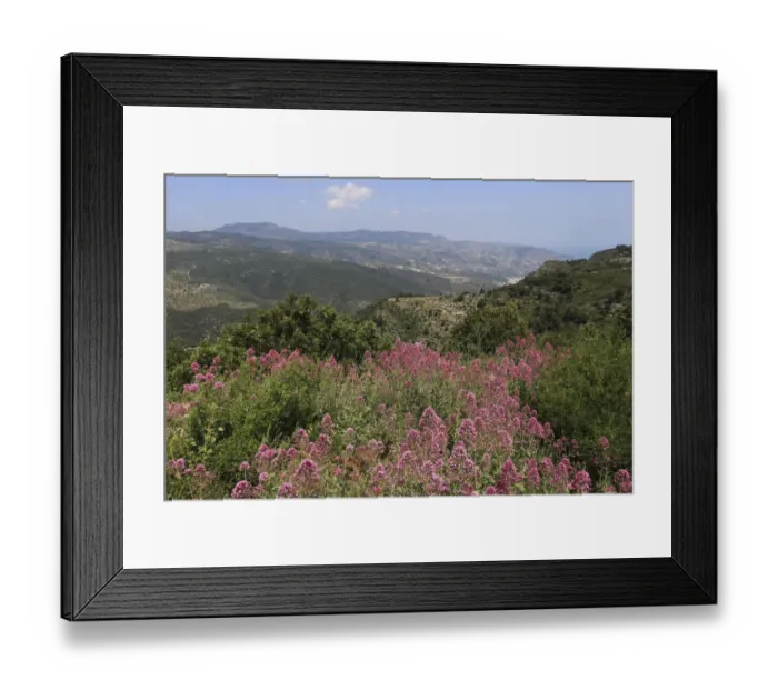 Framed Print : View from Monte Sant Angelo, Monte Sant Angelo, Foggia, Apulia, Italy Framed Print : View from Monte Sant Angelo, Monte Sant Angelo, Foggia, Apulia, Italy