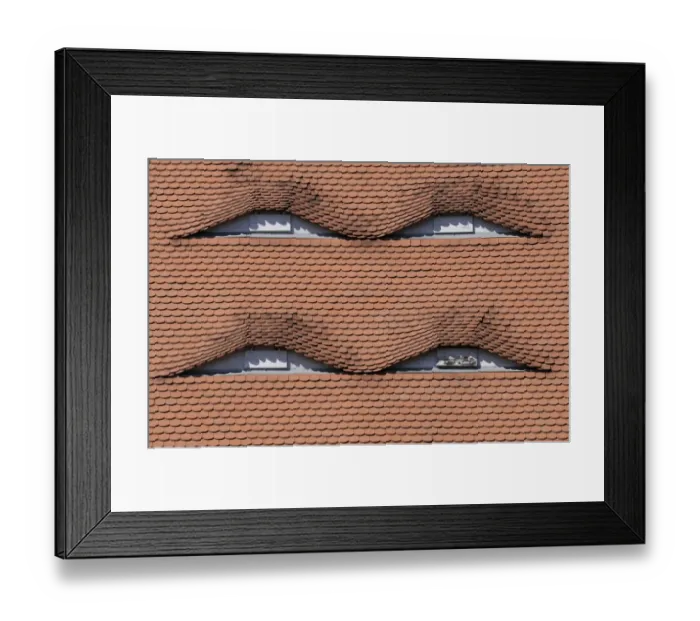 Framed Print : Dormers Framed Print : Dormers