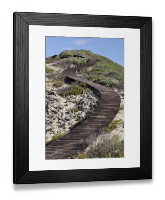 Framed Print : Wooden walkway leading to The Point at Robberg Nature Reserve, South Africa Framed Print : Wooden walkway leading to The Point at Robberg Nature Reserve, South Africa