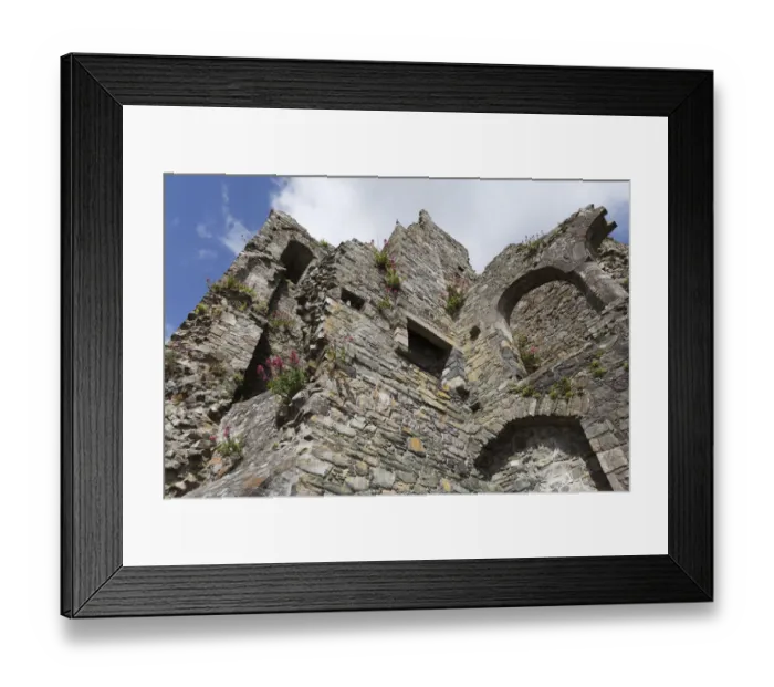 Framed Print : King Johns Castle, Carlingford, Cooley Peninsula, County Louth, Republic of Ireland, Europe Framed Print : King Johns Castle, Carlingford, Cooley Peninsula, County Louth, Republic of Ireland, Europe