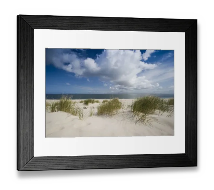 Framed Print : Marram grass on the beach, List, Sylt island, Schleswig-Holstein, Germany, Europe Framed Print : Marram grass on the beach, List, Sylt island, Schleswig-Holstein, Germany, Europe