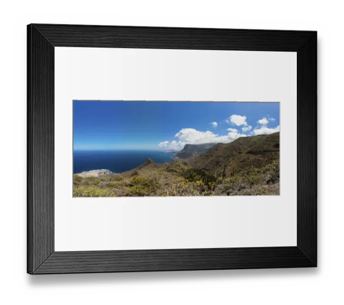 Framed Print : Canary Island Spurge or Hercules Club -Euphorbia canariensis-, cliffs near Casas de Tirma, El Tablado Region, Gran Canaria, Canary Islands, Spain, Europe, PublicGround Framed Print : Canary Island Spurge or Hercules Club -Euphorbia canariensis-, cliffs near Casas de Tirma, El Tablado Region, Gran Canaria, Canary Islands, Spain, Europe, PublicGround