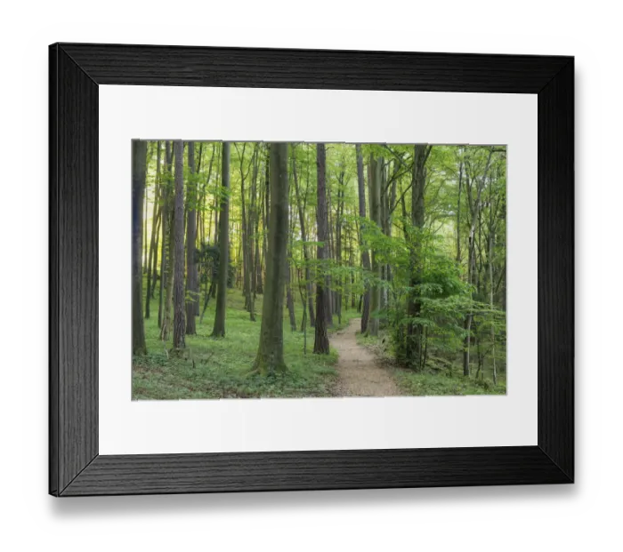 Framed Print : Hiking path in the Pfarrwald forest near Egloffstein, Little Switzerland, Upper Franconia, Franconia, Bavaria, Germany, Europe Framed Print : Hiking path in the Pfarrwald forest near Egloffstein, Little Switzerland, Upper Franconia, Franconia, Bavaria, Germany, Europe