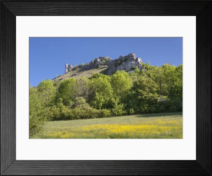 Framed Print : Limestone cliffs, Ehrenburg plateau, outlier, nature reserve, Franconian Switzerland - Veldenstein Forest Nature Park, Wiesenthau, Bavaria, Germany Framed Print : Limestone cliffs, Ehrenburg plateau, outlier, nature reserve, Franconian Switzerland - Veldenstein Forest Nature Park, Wiesenthau, Bavaria, Germany