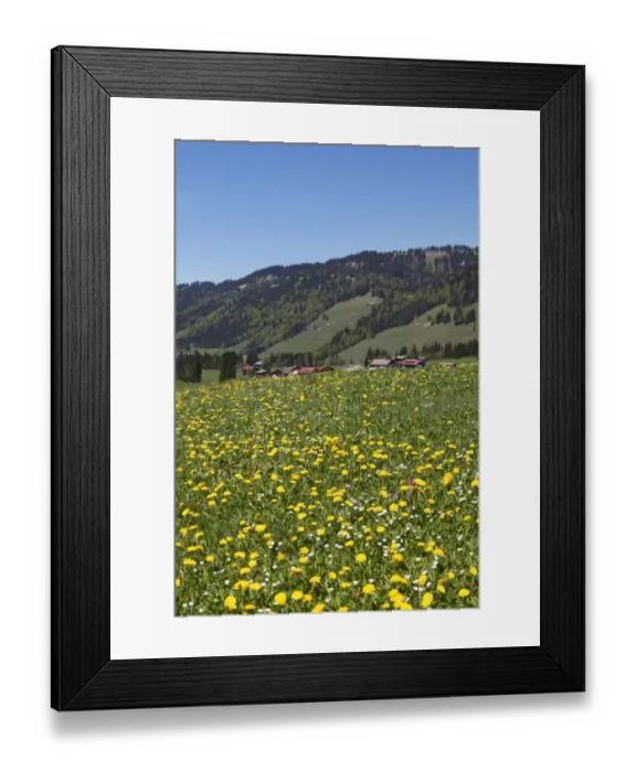 Framed Print : Balderschwang village, Upper Allgaeu, Allgaeu, Swabia, Bavaria, Germany Framed Print : Balderschwang village, Upper Allgaeu, Allgaeu, Swabia, Bavaria, Germany
