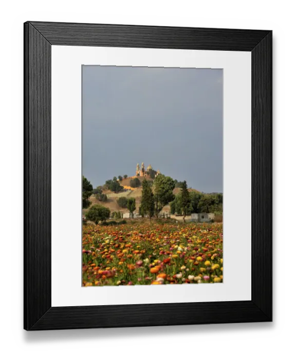 Framed Print : Meadow of coloured flowers in front of the church of Iglesia Nuestra Senora de los Remedios on the ruins of the pre-Hispanic Pyramid of Cholula, San Pedro Cholula, Puebla, Mexico, Latin America, North America Framed Print : Meadow of coloured flowers in front of the church of Iglesia Nuestra Senora de los Remedios on the ruins of the pre-Hispanic Pyramid of Cholula, San Pedro Cholula, Puebla, Mexico, Latin America, North America