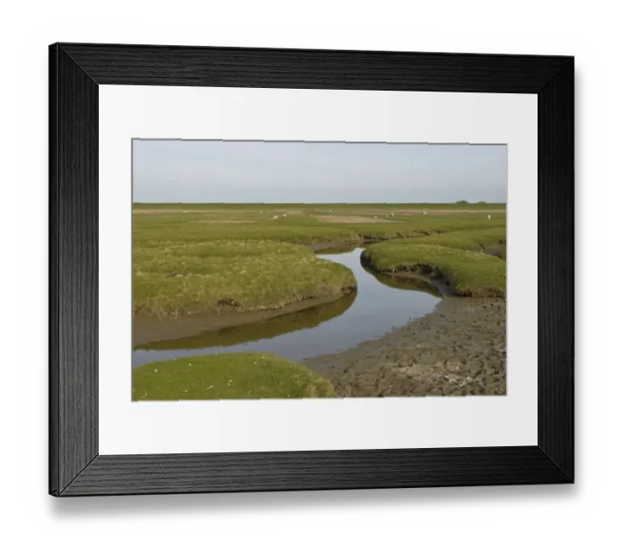 Framed Print : Salt marshes behind the dykes at Westerhever with drainage ditches in front and dyke in the rear, Schleswig-Holstein, Northern Friesland, Germany, Europe Framed Print : Salt marshes behind the dykes at Westerhever with drainage ditches in front and dyke in the rear, Schleswig-Holstein, Northern Friesland, Germany, Europe