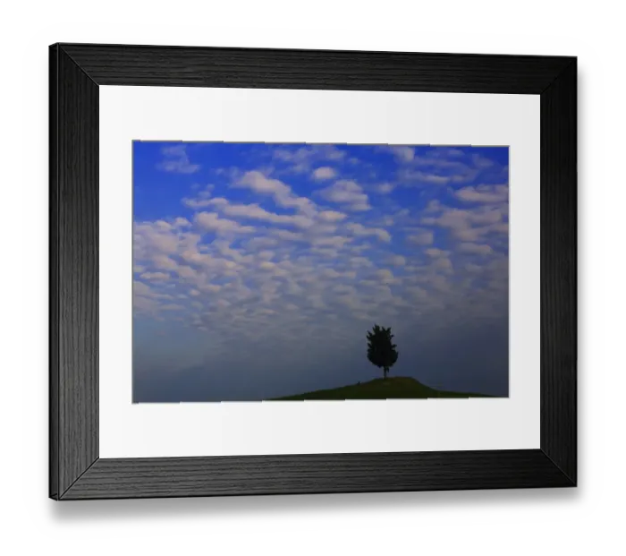 Framed Print : Cypress -Cupressus- with cloudy sky, Luciano dAsso, Tuscany, Italy, Europe Framed Print : Cypress -Cupressus- with cloudy sky, Luciano dAsso, Tuscany, Italy, Europe