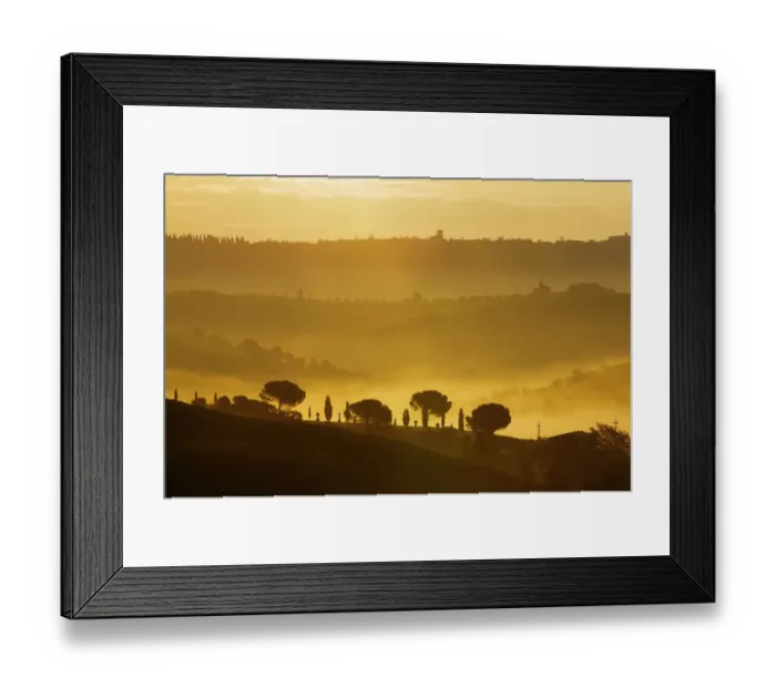 Framed Print : Cypresses -Cupressus- in the morning fog, San Quirico, Val dOrcia, Tuscany, Italy, Europe Framed Print : Cypresses -Cupressus- in the morning fog, San Quirico, Val dOrcia, Tuscany, Italy, Europe