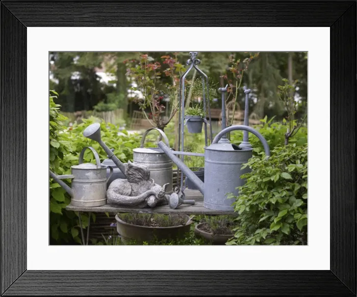 Framed Print : Still life, old watering cans made of zinc in a romantic garden Framed Print : Still life, old watering cans made of zinc in a romantic garden