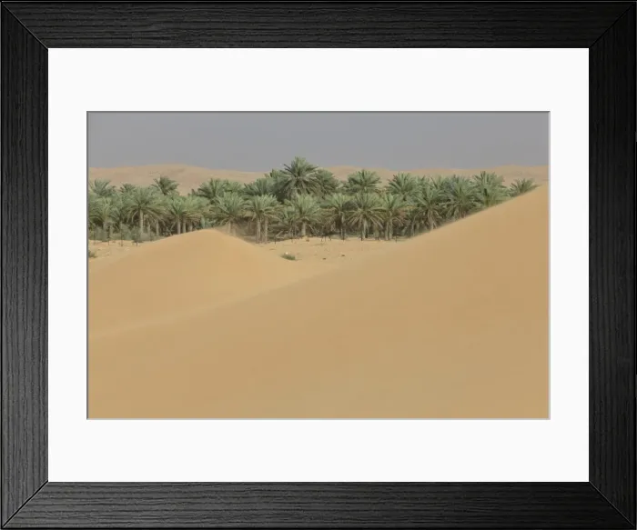 Framed Print : Oasis with date palms surrounded by sand dunes, Emirate of Dubai, United Arab Emirates