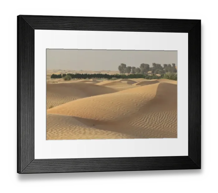 Framed Print : Oasis with date palms surrounded by sand dunes, Emirate of Dubai, United Arab Emirates Framed Print : Oasis with date palms surrounded by sand dunes, Emirate of Dubai, United Arab Emirates