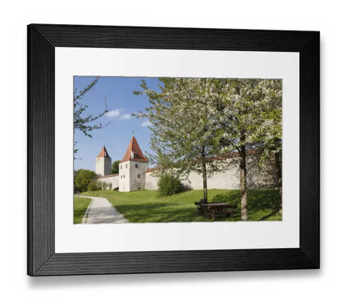 Framed Print : City walls with Frauenturm tower and Biersiederturm tower, Berching, Upper Palatinate, Bavaria, Germany, Europe