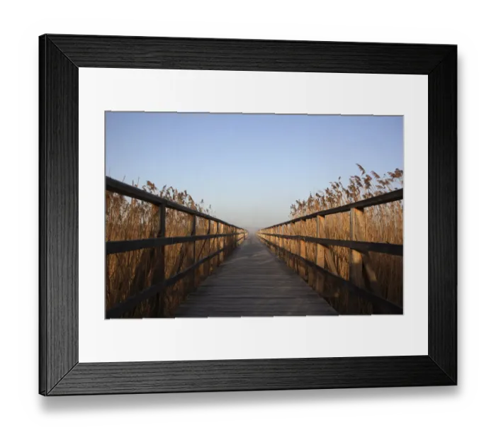 Framed Print : Federseesteg jetty leading through a reed belt, lake Federsee, Biberach, Upper Swabia, Baden-Wuerttemberg, Germany, Europe