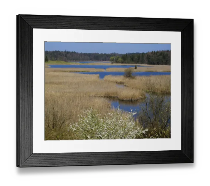 Framed Print : Fohnsee and Sengsee lakes, Osterseen Lakes, Fuenfseenland area, Upper Bavaria, Bavaria, Germany Framed Print : Fohnsee and Sengsee lakes, Osterseen Lakes, Fuenfseenland area, Upper Bavaria, Bavaria, Germany
