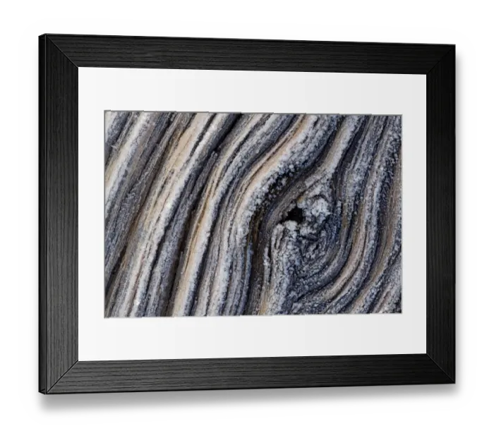 Framed Print : Tree bark covered in frost, Utah, USA Framed Print : Tree bark covered in frost, Utah, USA