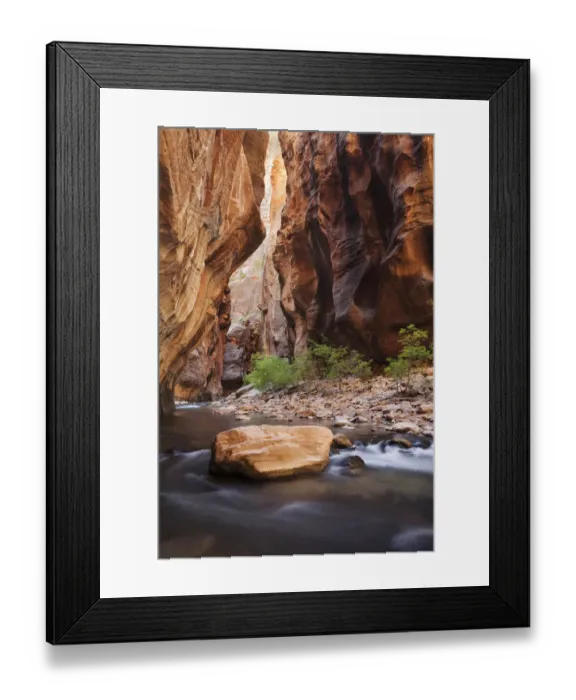 Framed Print : The Narrows, narrow point of the Virgin River, Zion National Park, Utah, USA, America Framed Print : The Narrows, narrow point of the Virgin River, Zion National Park, Utah, USA, America