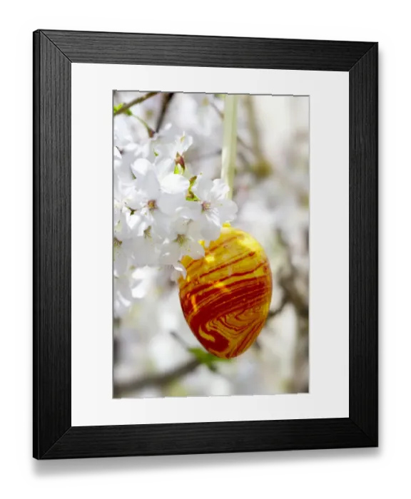 Framed Print : Easter egg and cherry blossoms Framed Print : Easter egg and cherry blossoms