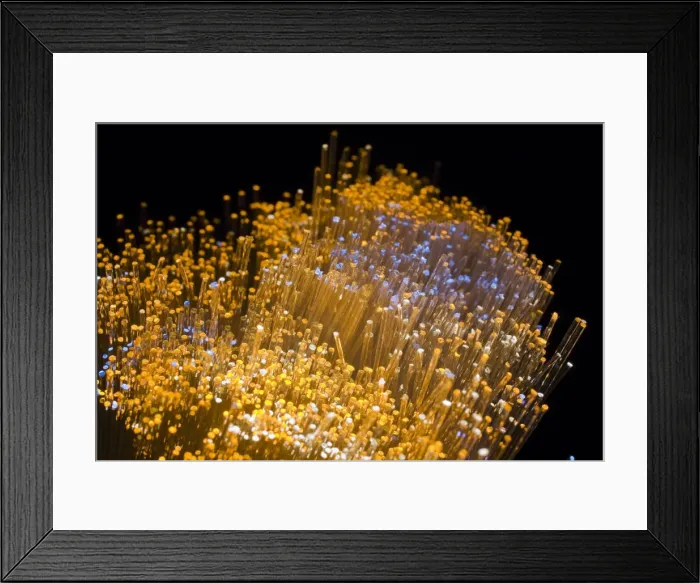 Framed Print : Close-up of fibre optics Framed Print : Close-up of fibre optics