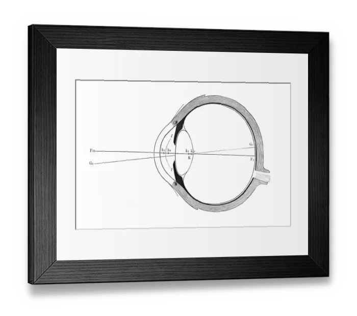 Framed Print : Eye, schematic representation Framed Print : Eye, schematic representation