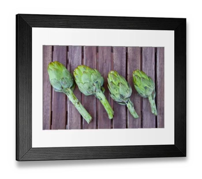 Framed Print : Artichokes harvested in an organic home garden, Catalonia, Spain, Europe Framed Print : Artichokes harvested in an organic home garden, Catalonia, Spain, Europe
