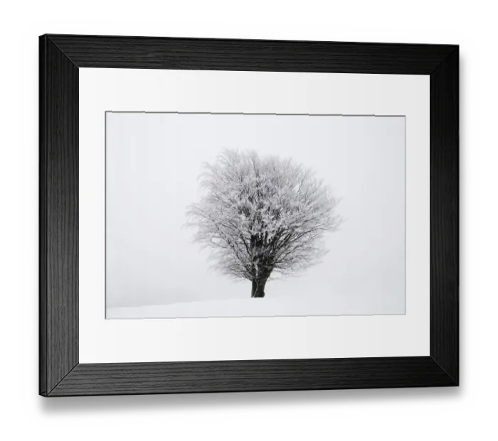 Framed Print : Icy tree in winter, Lower Saxony, Germany, Europe Framed Print : Icy tree in winter, Lower Saxony, Germany, Europe