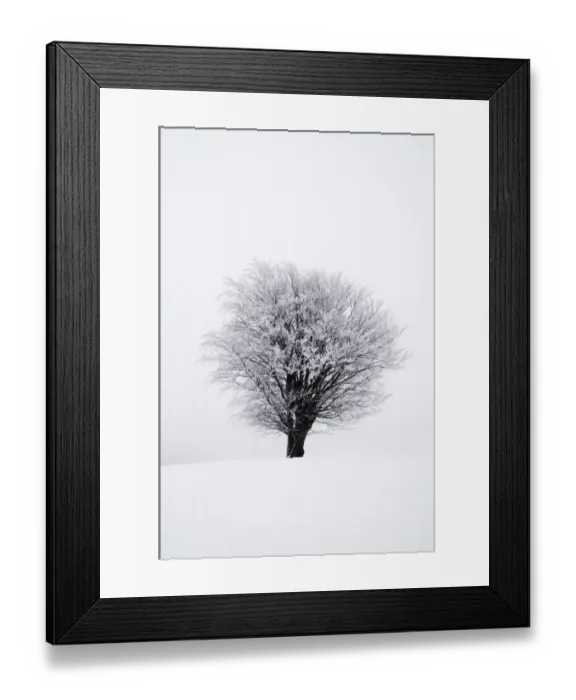 Framed Print : Icy tree in winter, Lower Saxony, Germany, Europe Framed Print : Icy tree in winter, Lower Saxony, Germany, Europe